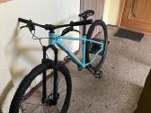 Specialized rockhopper 29
