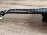 Gitara - nuotraukos Nr. 4