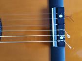 Gitara - nuotraukos Nr. 5