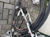 Coppi p-m 1 26coliu - nuotraukos Nr. 4