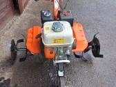 Sodu,daržuj,miškuj - nuotraukos Nr. 3