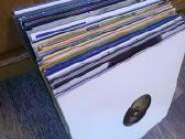 40 vienetu 12 inch ivariu zanru