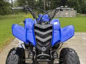Yamaha Raptor 80