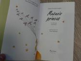 Mažasis princas Knyga - nuotraukos Nr. 9