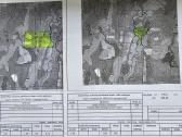 Parduodamas 8ha. žemės sklypas. Vilkaviškio r. sav - nuotraukos Nr. 3