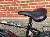 Corratec Bosch XL vyriškas ebike - nuotraukos Nr. 11