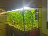 Akvariumas 200 l