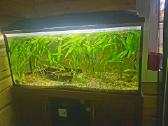 Akvariumas 200 l - nuotraukos Nr. 2
