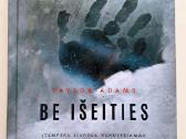 Be išeities. Taylor Adams
