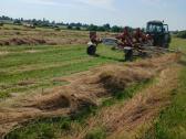 Ford traktorius su krautuvu + Kuhn smulkintuvas - nuotraukos Nr. 7