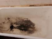 Vonių restauravimas Jonava-kaunas-ukmergė kedainia - nuotraukos Nr. 18