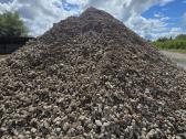Maltas betonas