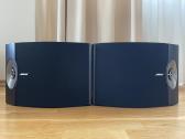 Bose 301 V (Series V) Garso kolonėlės