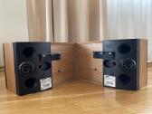 Bose 301 V (Series V) Garso kolonėlės - nuotraukos Nr. 3