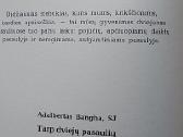Tarp dviejų pasaulių - nuotraukos Nr. 5