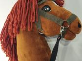 Hobby horse