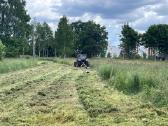 Vejos, žolės pjovimas, apleistų sklypų tvarkymas. - nuotraukos Nr. 19