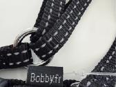 Bobby „So Frenchy“ petnešos šuniukui ar kačiukui - nuotraukos Nr. 6