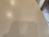 Stalas Ikea Linnmon - nuotraukos Nr. 4