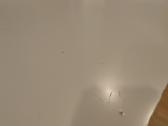 Stalas Ikea Linnmon - nuotraukos Nr. 5