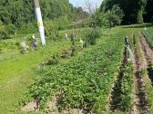 Parduodamas 6,21 arų žemės sklypas - nuotraukos Nr. 8
