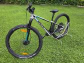 26" Bulls Tokee Ultra Lite Carbon vaikui