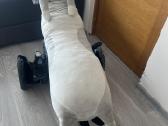Sveiki parduodu kartingą padarytą iš riedžio - nuotraukos Nr. 10