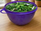 Tupperware 10l dubuo