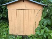 Parduodami aviliai su bičių šeimomis Ir medumi - nuotraukos Nr. 5