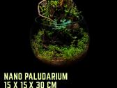 Profesionaliai įrenginėju terariumus, paludariumus - nuotraukos Nr. 8