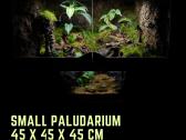 Profesionaliai įrenginėju terariumus, paludariumus - nuotraukos Nr. 10