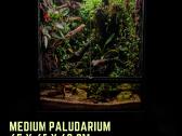 Profesionaliai įrenginėju terariumus, paludariumus - nuotraukos Nr. 12
