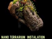 Profesionaliai įrenginėju terariumus, paludariumus - nuotraukos Nr. 15
