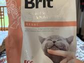 Brit Renal 2 kg. egg&pea kačių sausas maistas