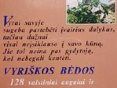 Būkite sveiki, vyrai! - nuotraukos Nr. 7