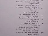 Bundantis mąstymas. Žmogaus intelekto kilmė - nuotraukos Nr. 5