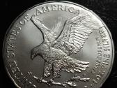 1oz erelio doleris - nuotraukos Nr. 2