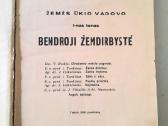Knyga 1930m.
