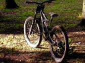 Parduodu rose soulfire downhill dvirati - nuotraukos Nr. 2