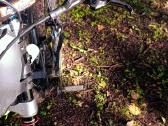 Parduodu rose soulfire downhill dvirati - nuotraukos Nr. 3