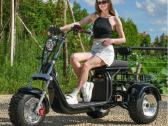Elektrinis triratis čioperis motoroleris 4000w - nuotraukos Nr. 2