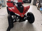 Cfmoto Cforce 110 Premium