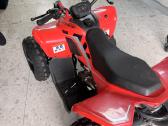 Cfmoto Cforce 110 Premium - nuotraukos Nr. 3