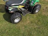 Keturratis Tgb 90cc Hornet - nuotraukos Nr. 4