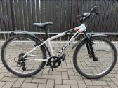 Dvitatis Rockrider St100 (Decathlon), 24