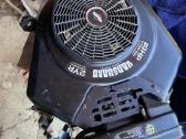 20hp Brigsas