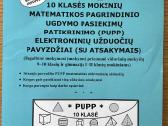 10 klasės matematikos Pupp užduočių knyga su ats.