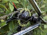 Bianchi Infinito carbon plento M dviratis 54 - nuotraukos Nr. 10