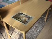 Table/working desk Ikea Ridspo - nuotraukos Nr. 2