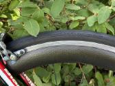 Bianchi Infinito carbon plento M dviratis 54 - nuotraukos Nr. 31